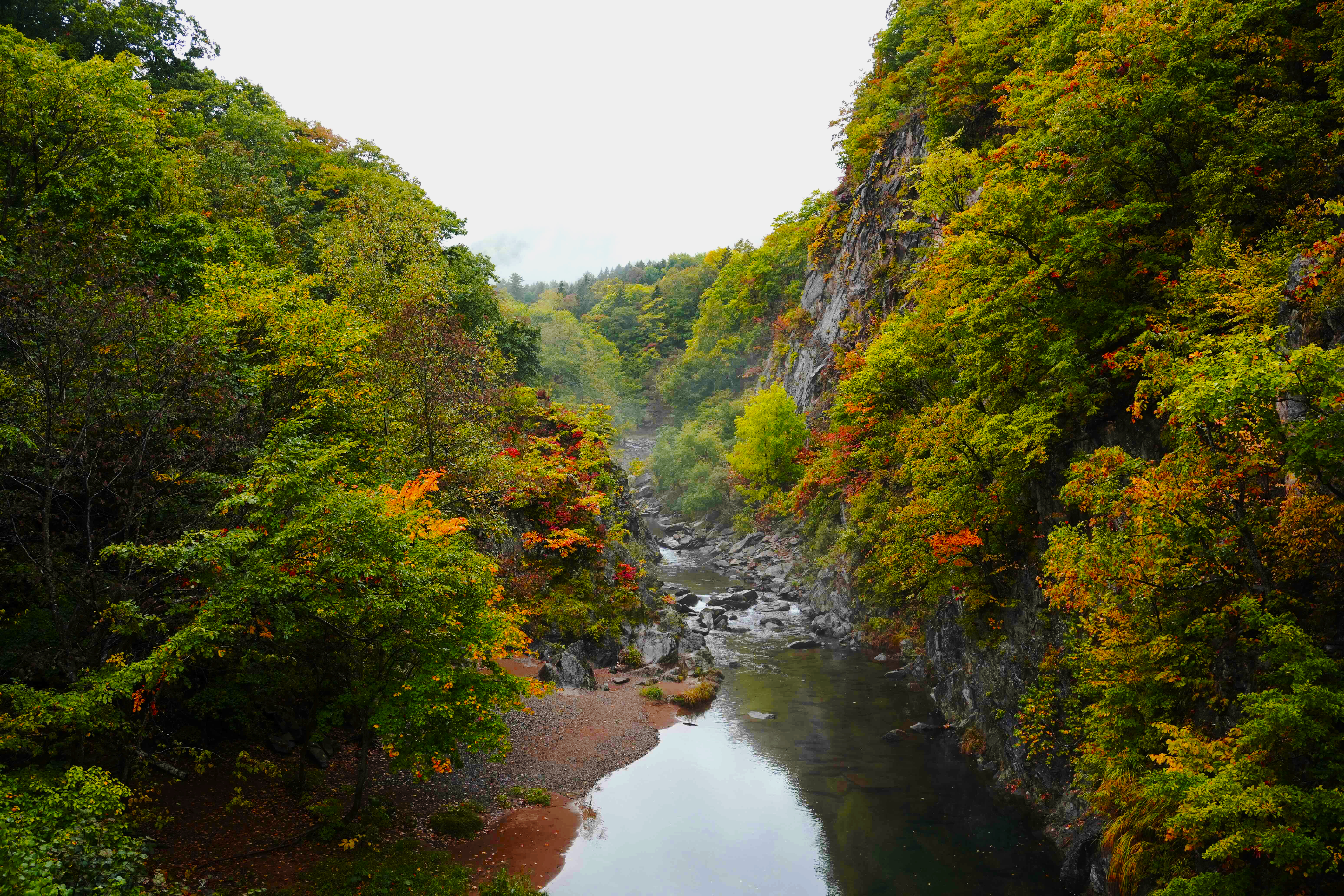 Autumn Background